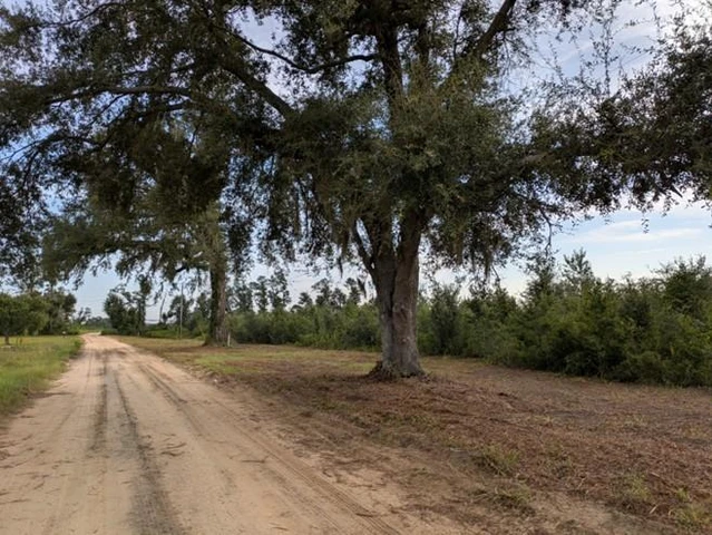Nearby Listing Image