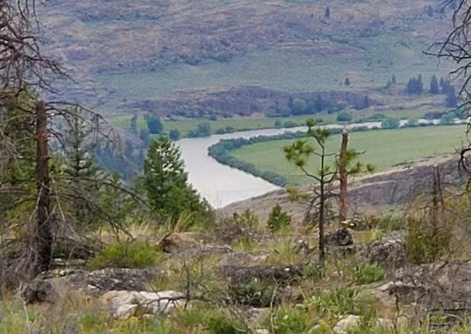Nearby Listing Image