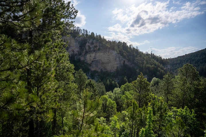 Nearby Listing Image