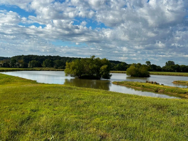 Nearby Listing Image