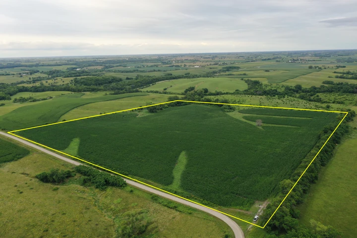 Nearby Listing Image