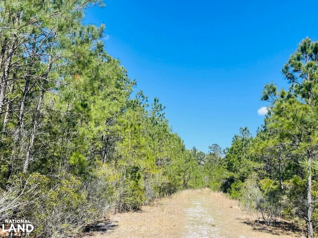 Nearby Listing Image