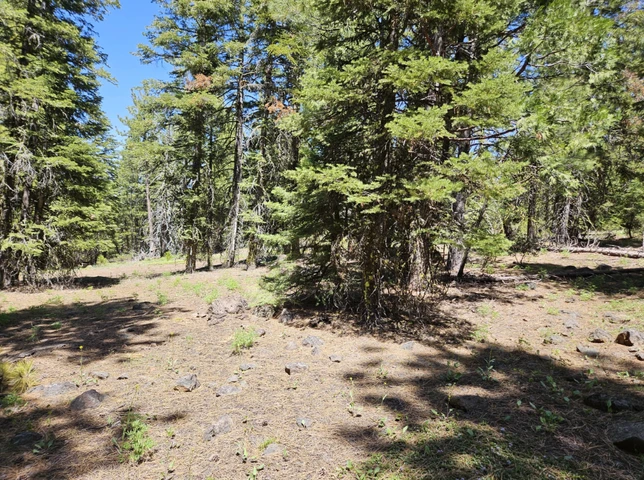 Nearby Listing Image