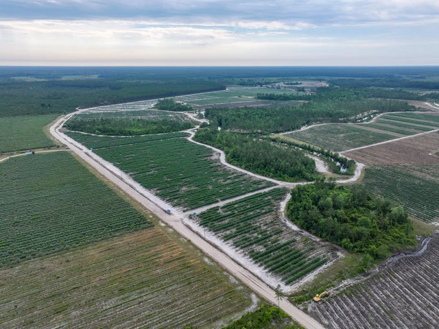 Nearby Listing Image