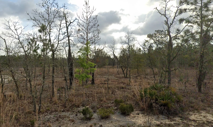 Nearby Listing Image