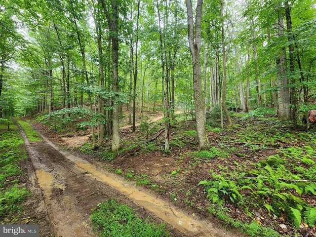 Nearby Listing Image