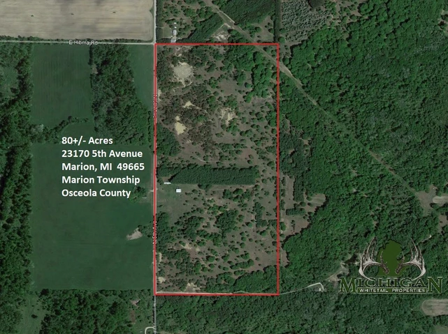 Nearby Listing Image