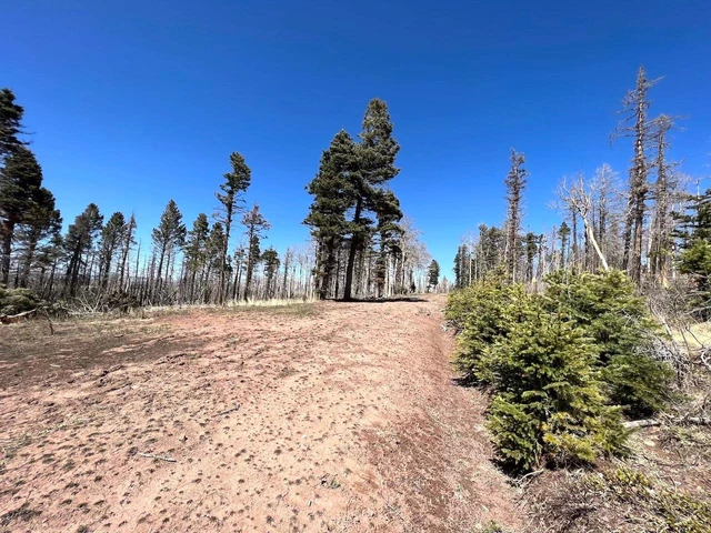 Nearby Listing Image