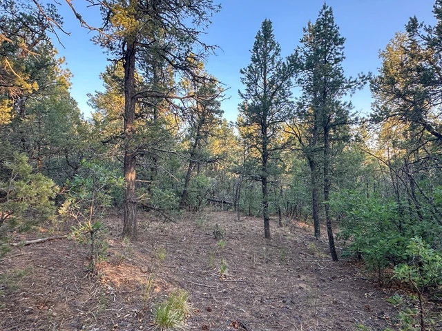 Nearby Listing Image