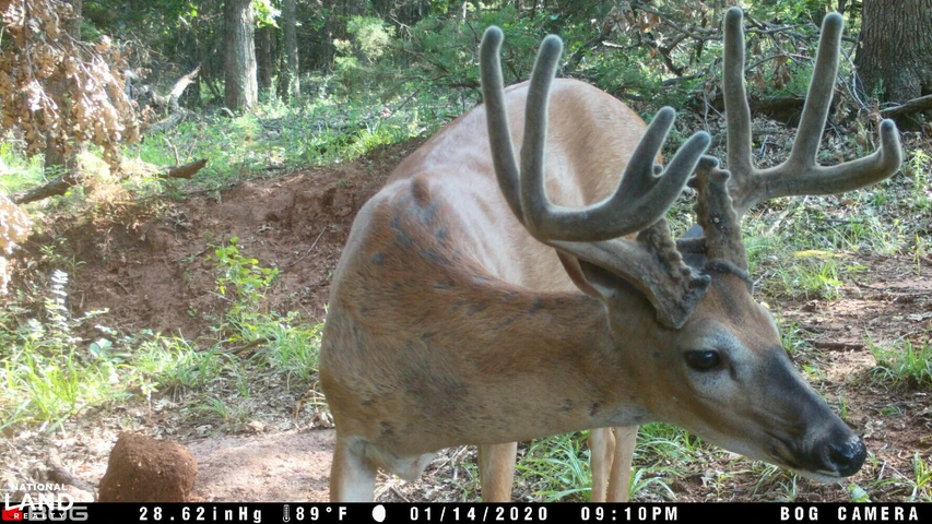 Nearby Listing Image