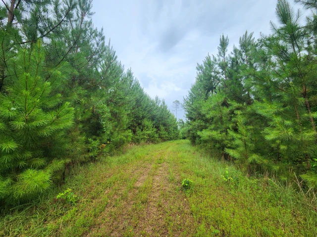 Nearby Listing Image