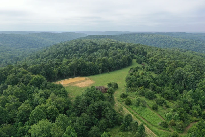 Nearby Listing Image