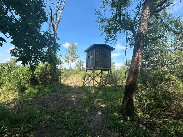 Nearby Listing Image