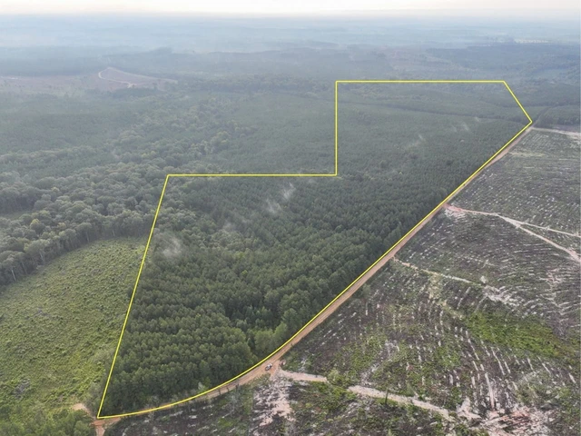 Nearby Listing Image