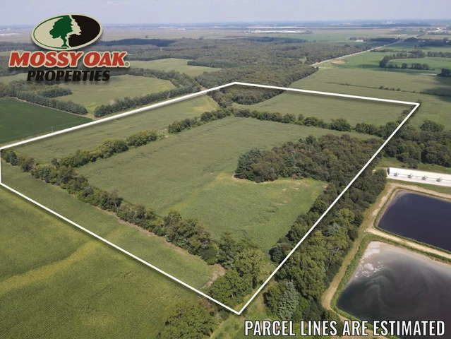 Nearby Listing Image
