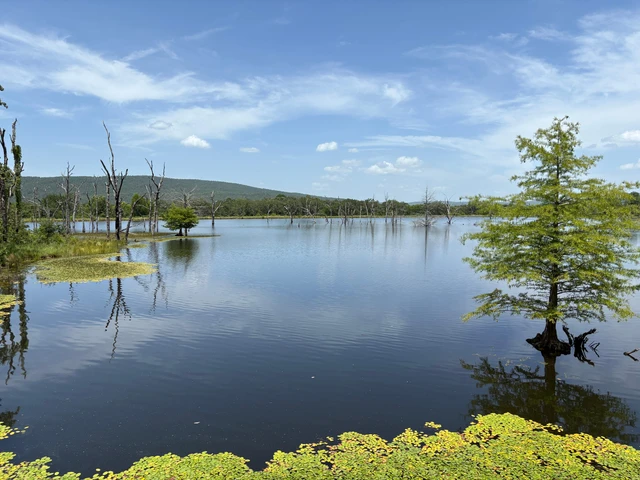 Nearby Listing Image