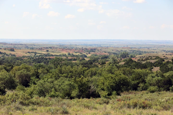 Nearby Listing Image