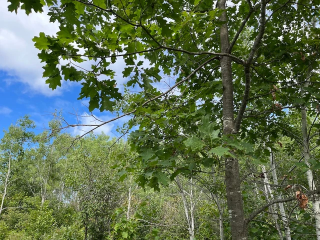 Nearby Listing Image