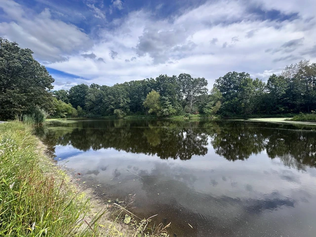 Nearby Listing Image