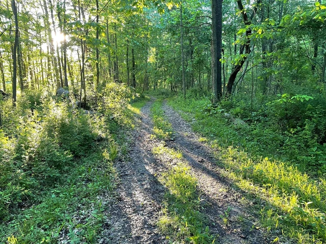 Nearby Listing Image
