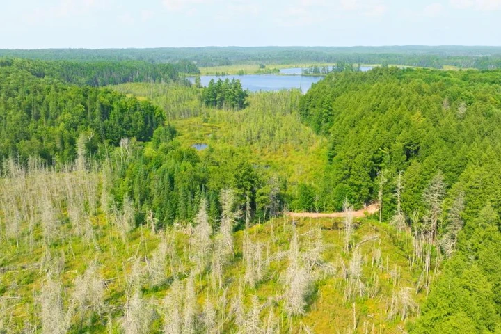 Nearby Listing Image