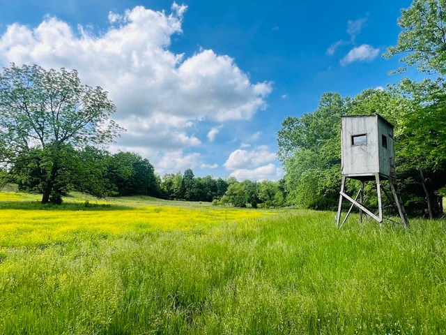 Nearby Listing Image