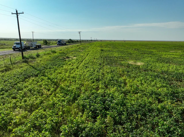 Nearby Listing Image