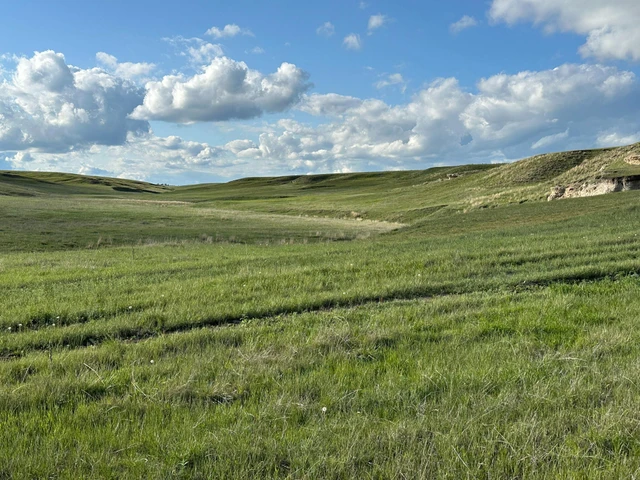 Nearby Listing Image
