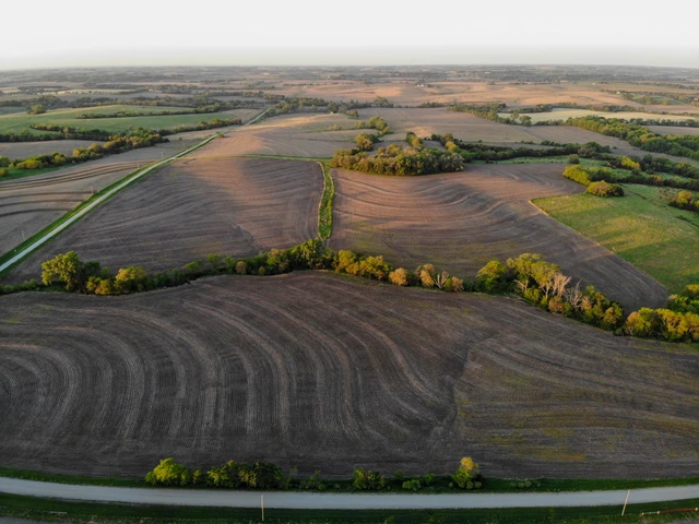 Nearby Listing Image