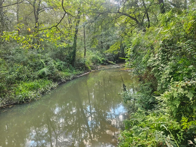 Nearby Listing Image