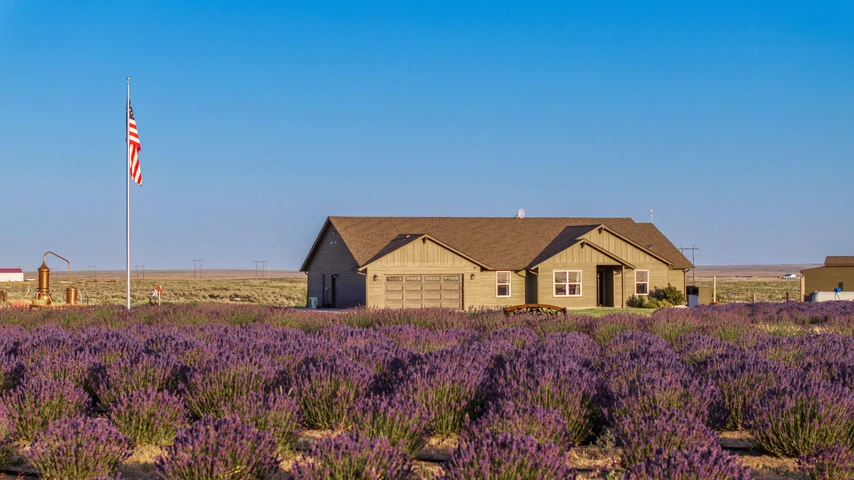 Nearby Listing Image