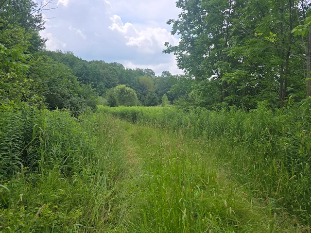 Nearby Listing Image