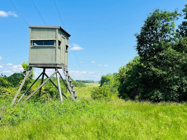 Nearby Listing Image