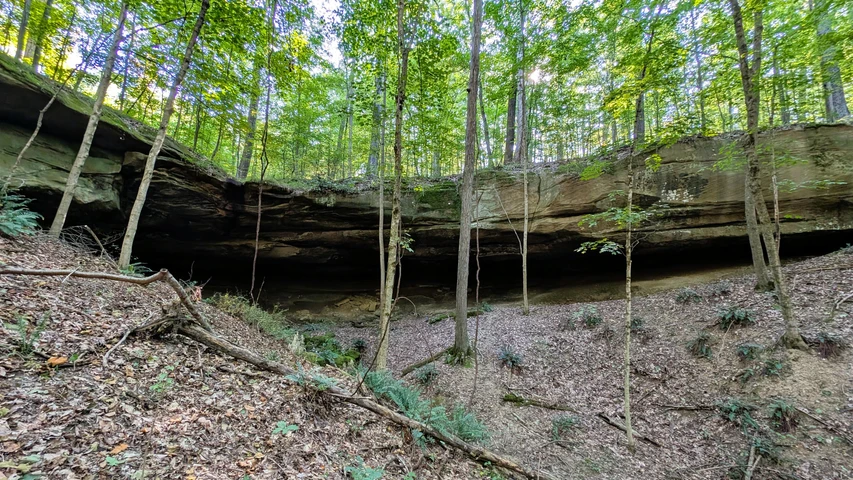 Nearby Listing Image