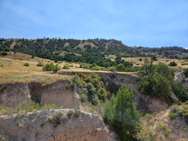 Nearby Listing Image