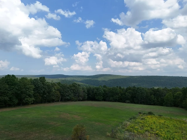 Nearby Listing Image