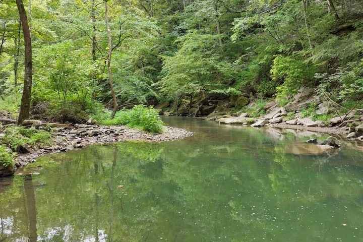 Nearby Listing Image