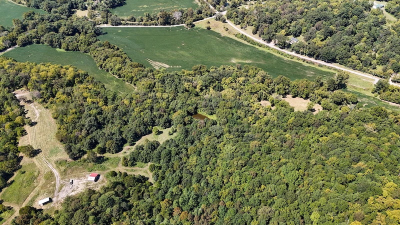 Nearby Listing Image