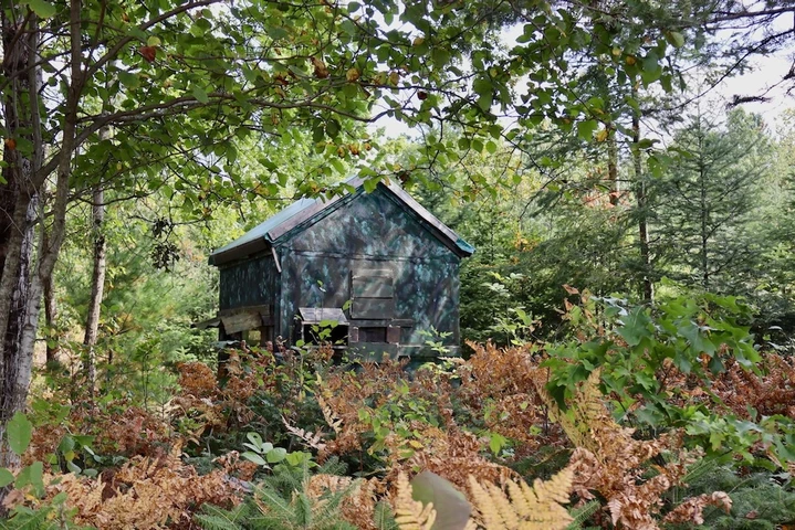 Nearby Listing Image