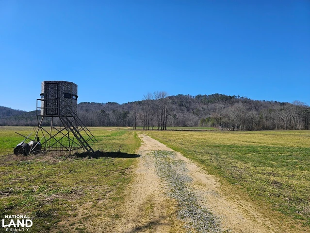 Nearby Listing Image