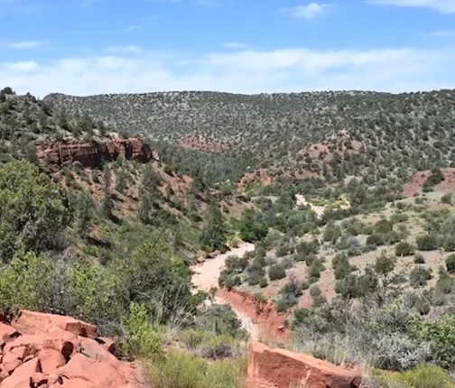 Nearby Listing Image