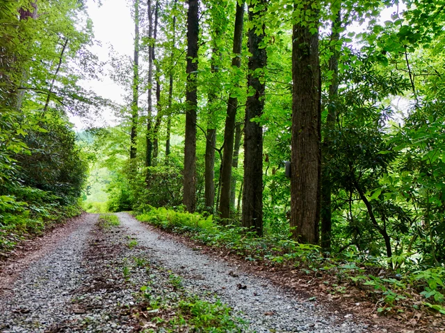 Nearby Listing Image