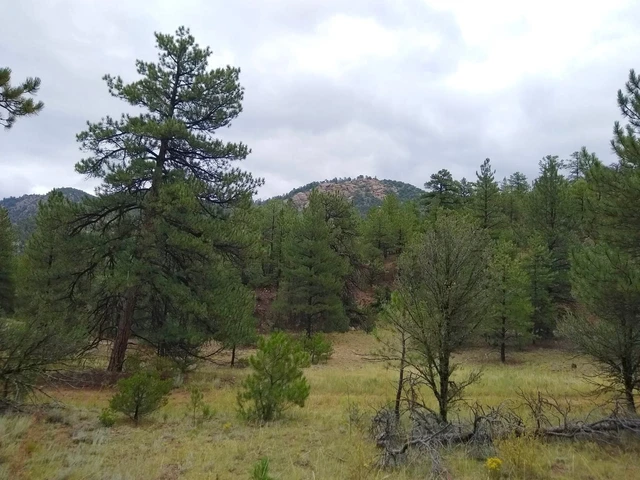 Nearby Listing Image