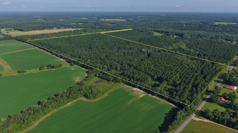 Nearby Listing Image