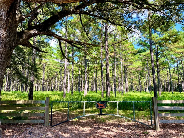 Nearby Listing Image