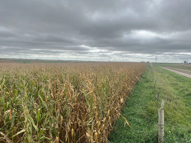 Nearby Listing Image