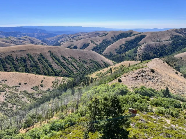 Nearby Listing Image