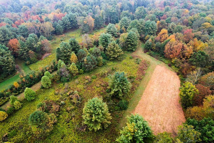 Nearby Listing Image