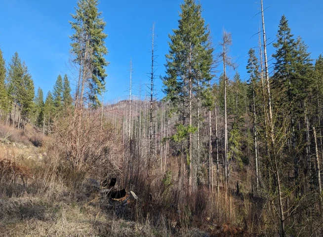 Nearby Listing Image