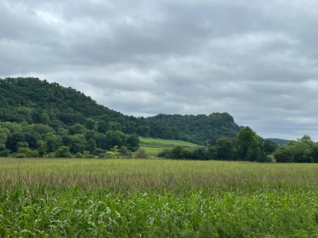 Nearby Listing Image